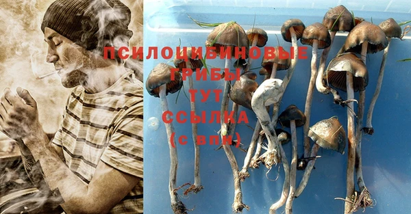 мескалин Алексеевка