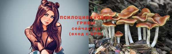 мескалин Алексеевка