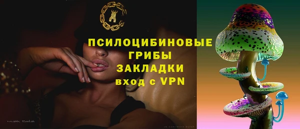тгк Алзамай