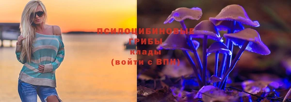 тгк Алзамай