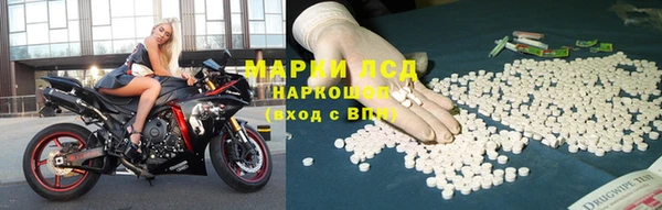 тгк Алзамай